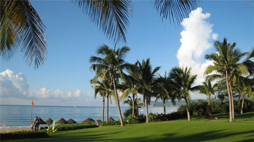 马永贞功夫酱骨头