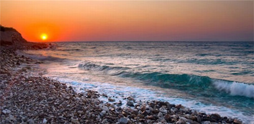 投资加盟果然豆奶茶前景怎么样，果然豆奶茶投资成本怎么样