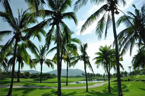 吾之恋服装加盟费多少