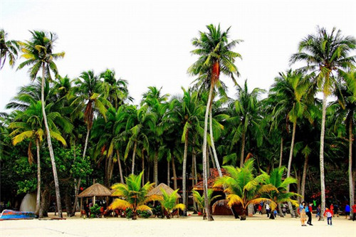 欧尼姐姐石锅拌饭需要多少的加盟费