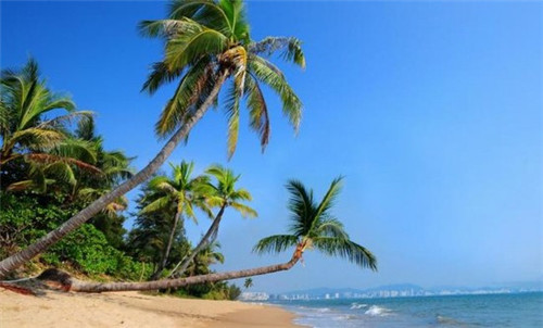 加盟思泊湖牛肉面品牌多久回本