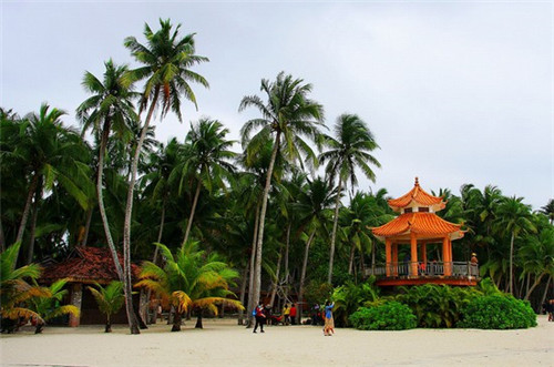 玩伽罗可以打野吗手游怎么玩（伽罗出什么打野装备）