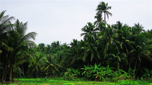 东语璟庭的房子怎么样（东璟花园a栋户型图）