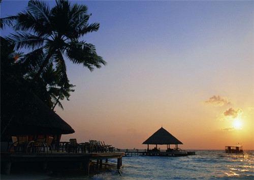 李兴浩是如何创立志高品牌的（志高老板李兴浩）