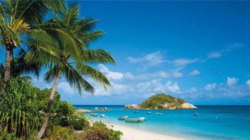 南洋茶铺加盟需要具备什么条件，加盟费用哪家性价比高