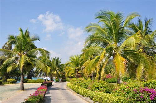 为什么雨水是清凉的（为什么说雨水很脏）