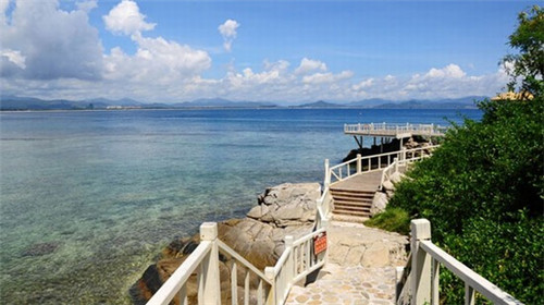 为什么大多数人对甜食情有独钟（人为什么对甜食的依赖）